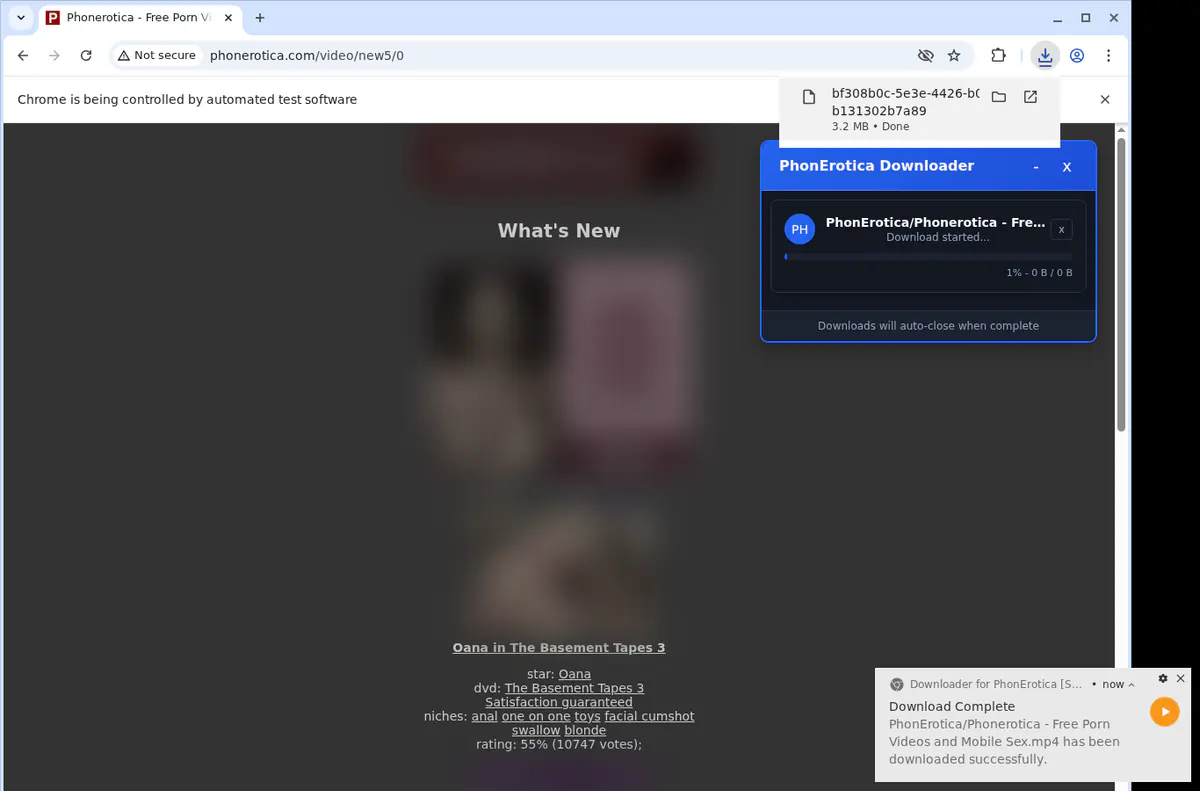 Phonerotica Video Downloader browser extension screenshot 2