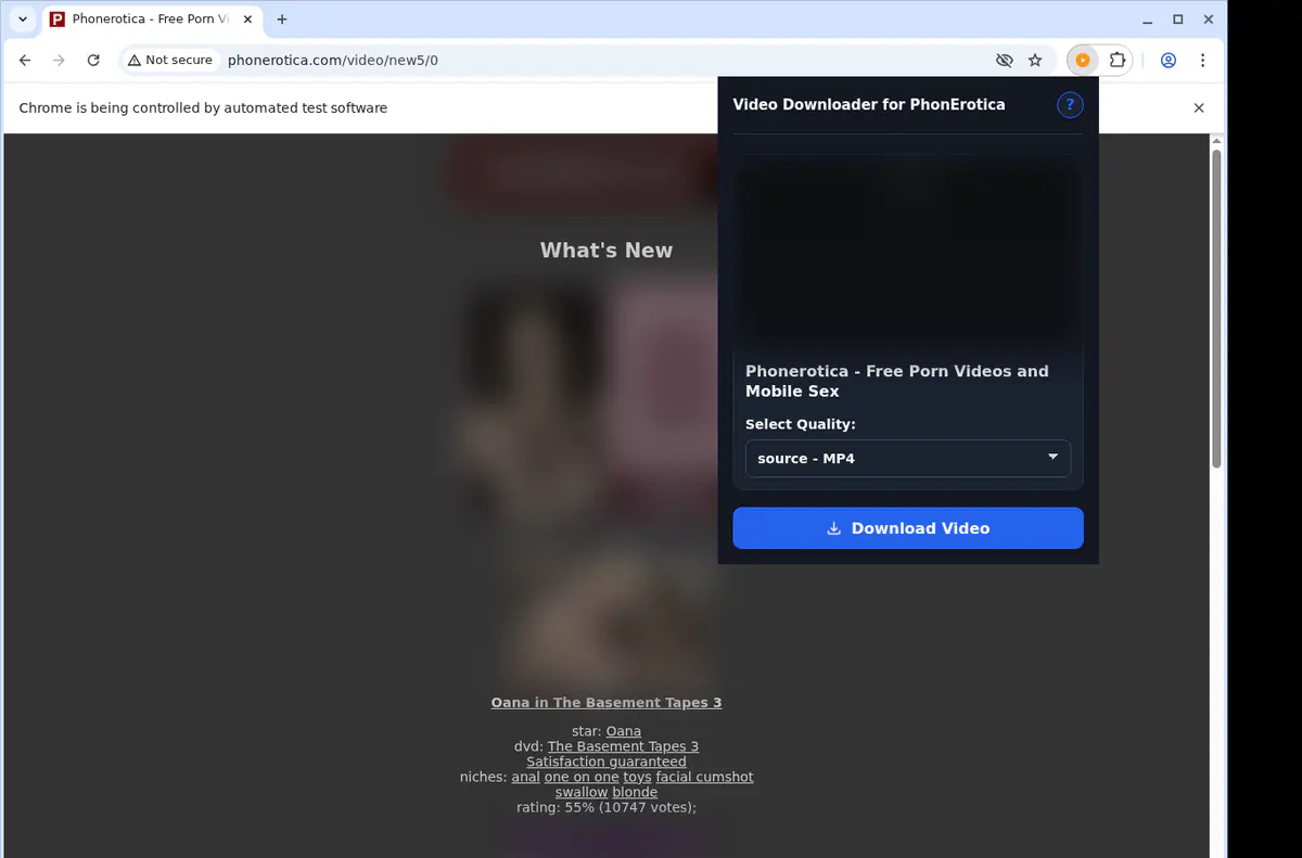 Phonerotica Video Downloader browser extension screenshot 3