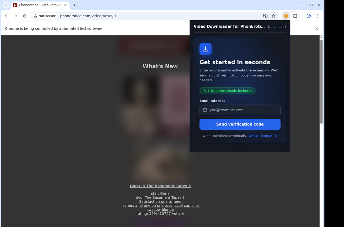 Phonerotica Video Downloader browser extension screenshot 5